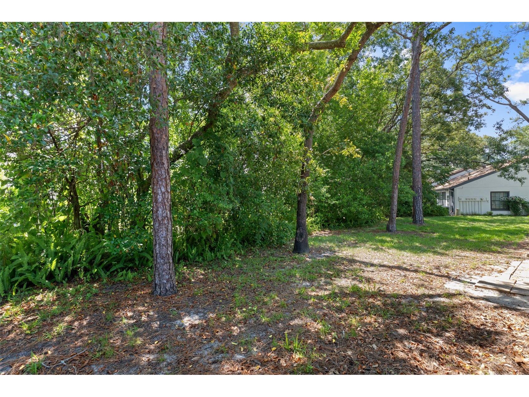 2102 Forester Way Spring Hill FL 34606 W7887038 image32