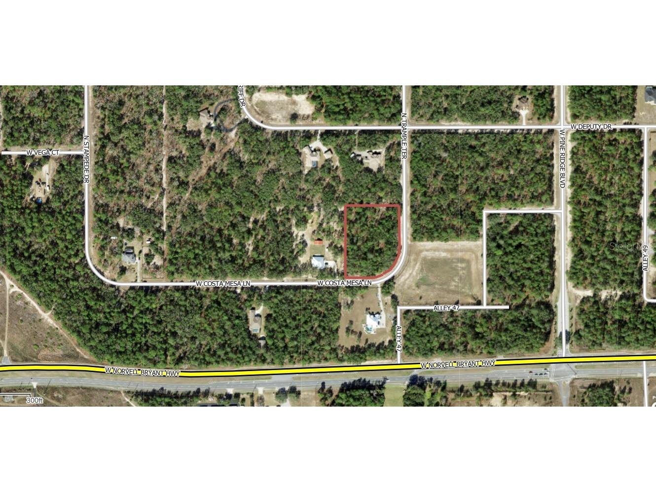 2102 N Trample Terrace Beverly Hills FL 34465 A4685857 image2
