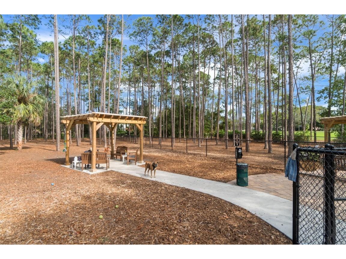 2102 Springmeadow Drive Spring Hill FL 34606 W7880319 image41