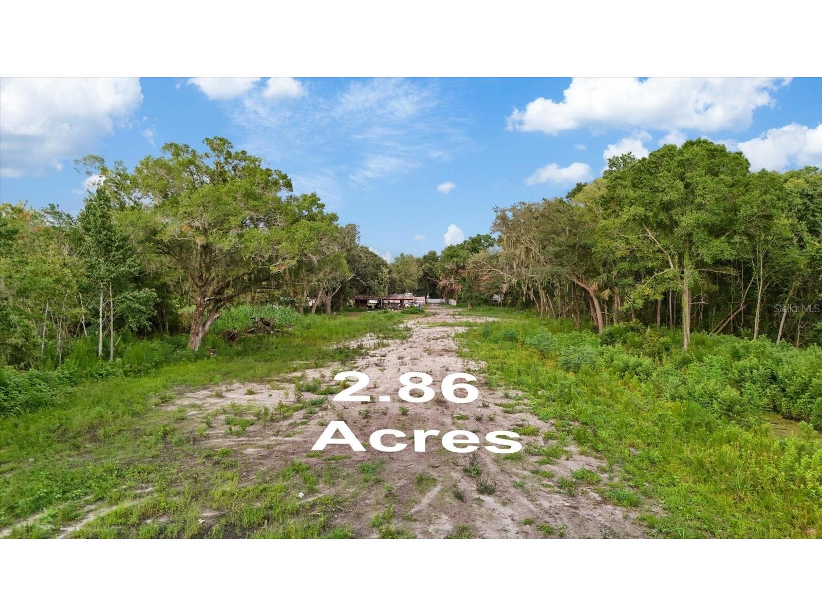 2102 Sydney Dover Road Dover FL 33527 TB8514411 image8