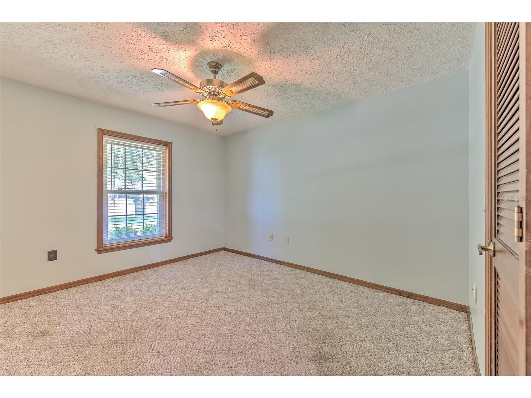 2102 Whitlock Place Dover FL 33527 TB8519690 image26