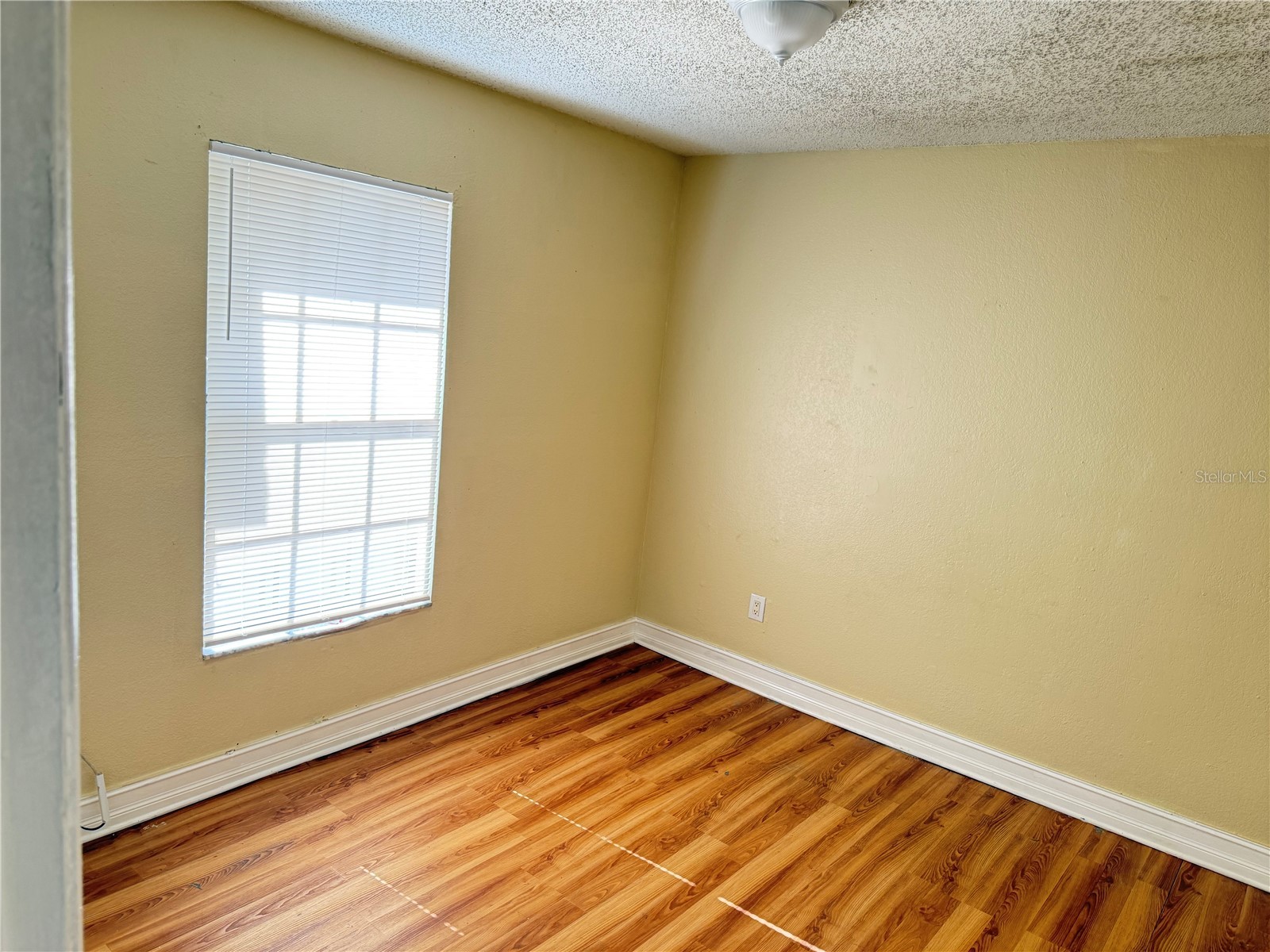 21026 Voyager Boulevard #6 Land O Lakes FL 34638 TB8521720 image13