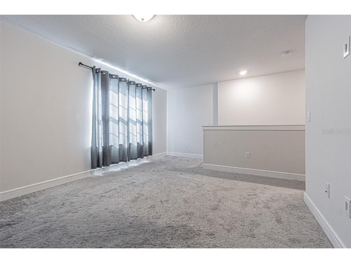 21027 Monza Loop Land O Lakes FL 34638 TB8430374 image12