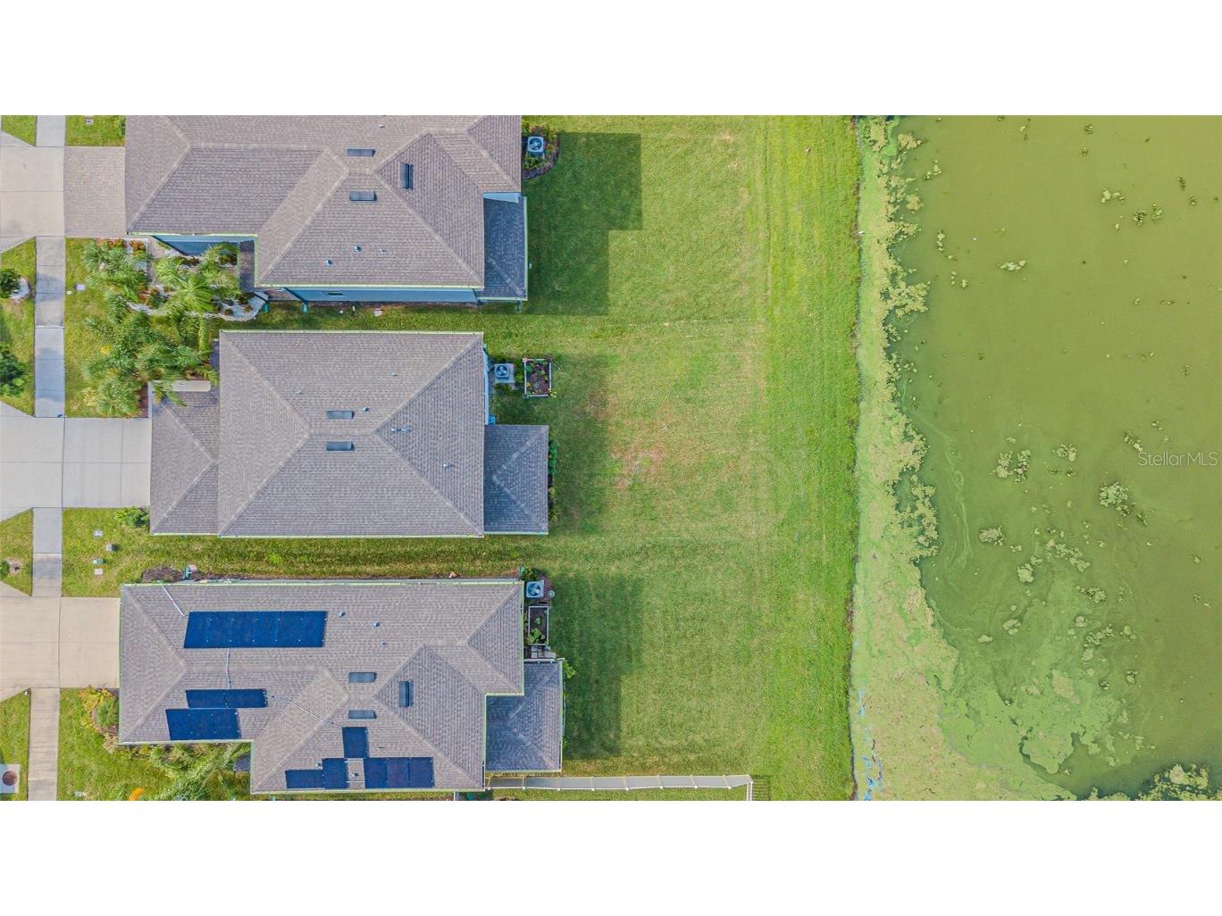 21027 Monza Loop Land O Lakes FL 34638 TB8430374 image29