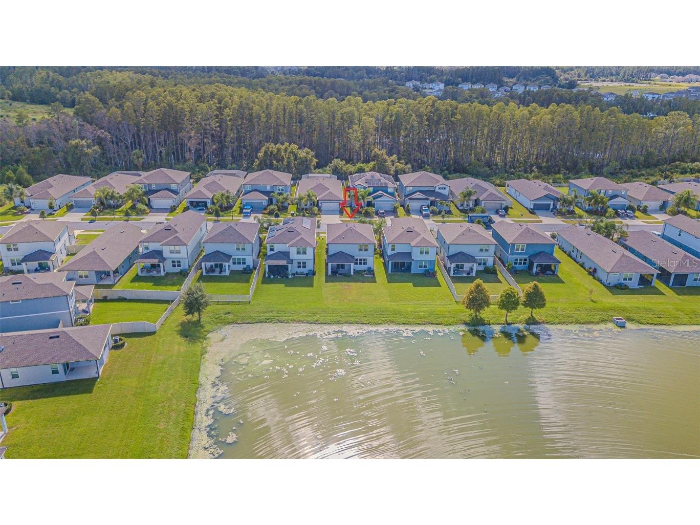 21027 Monza Loop Land O Lakes FL 34638 TB8430374 image30