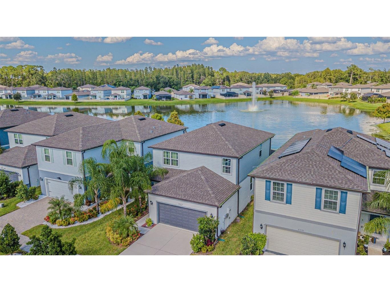21027 Monza Loop Land O Lakes FL 34638 TB8430374 image34
