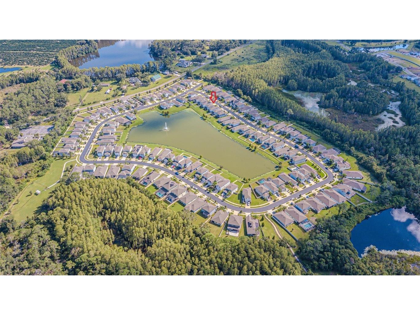 21027 Monza Loop Land O Lakes FL 34638 TB8430374 image38