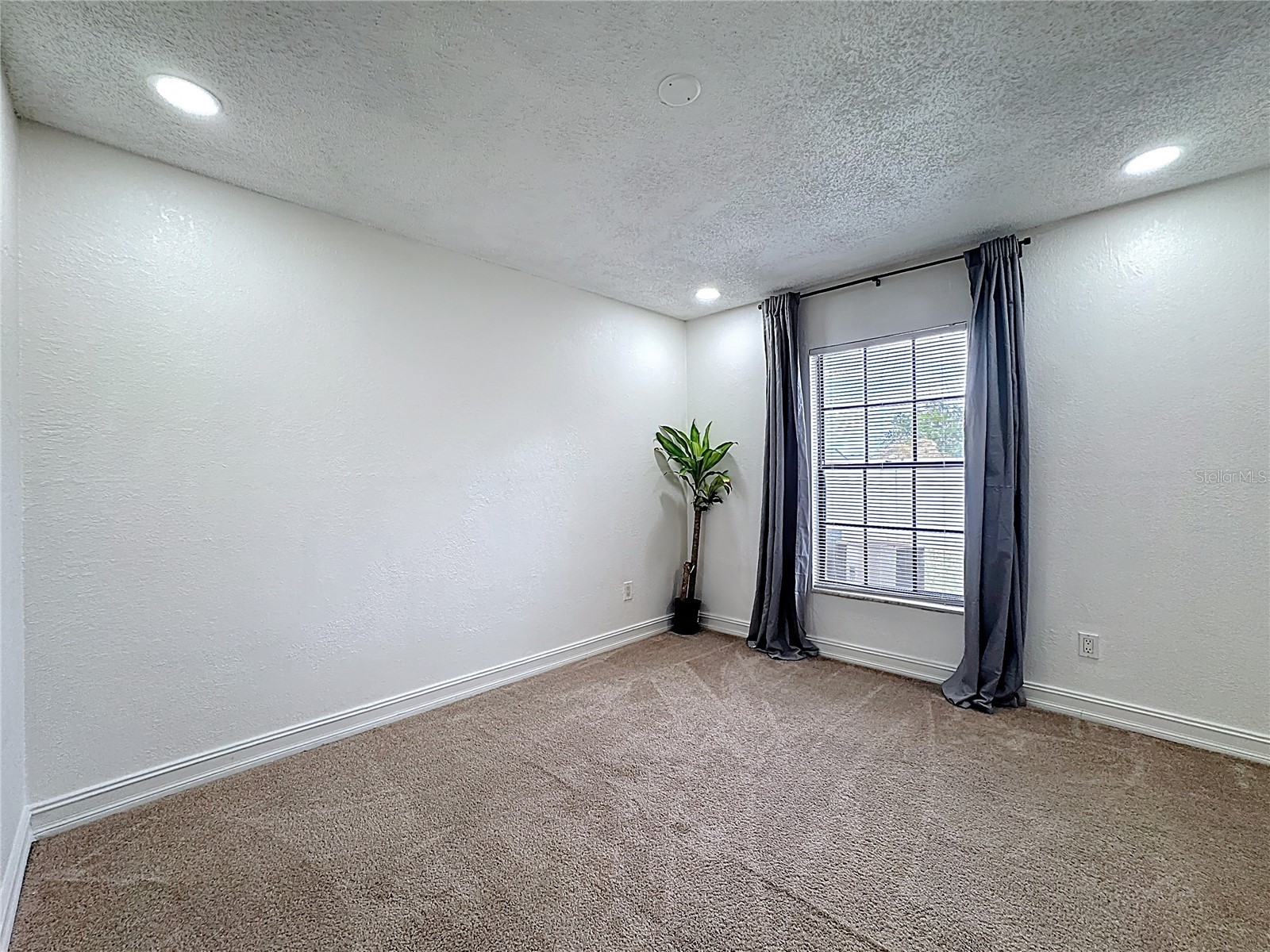 21027 Voyager Boulevard #3 Land O Lakes FL 34638 TB8496634 image15