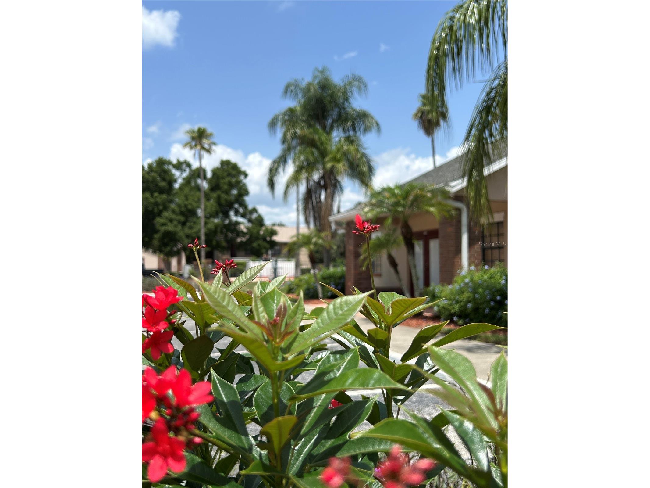 21027 Voyager Boulevard #7 Land O Lakes FL 34638 TB8527880 image19