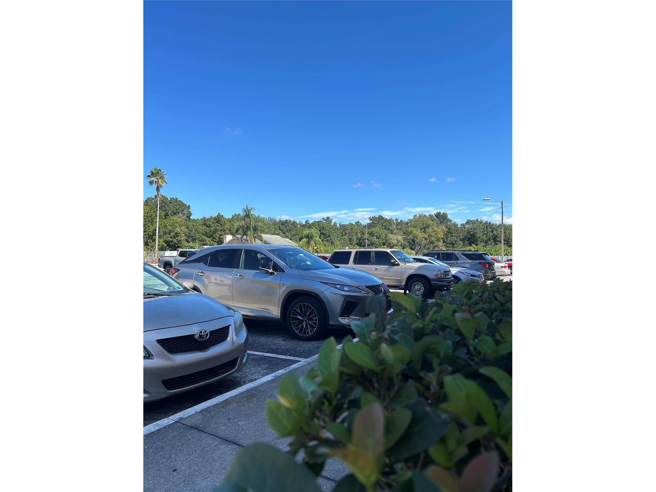 21027 Voyager Boulevard #7 Land O Lakes FL 34638 TB8527880 image22