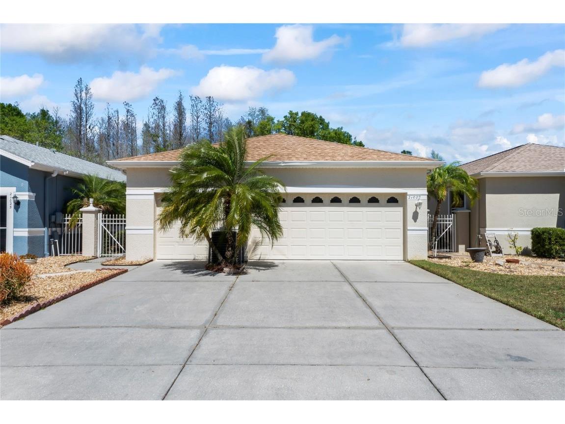 21029 Tangor Road Land O Lakes FL 34637 T3437101 image1