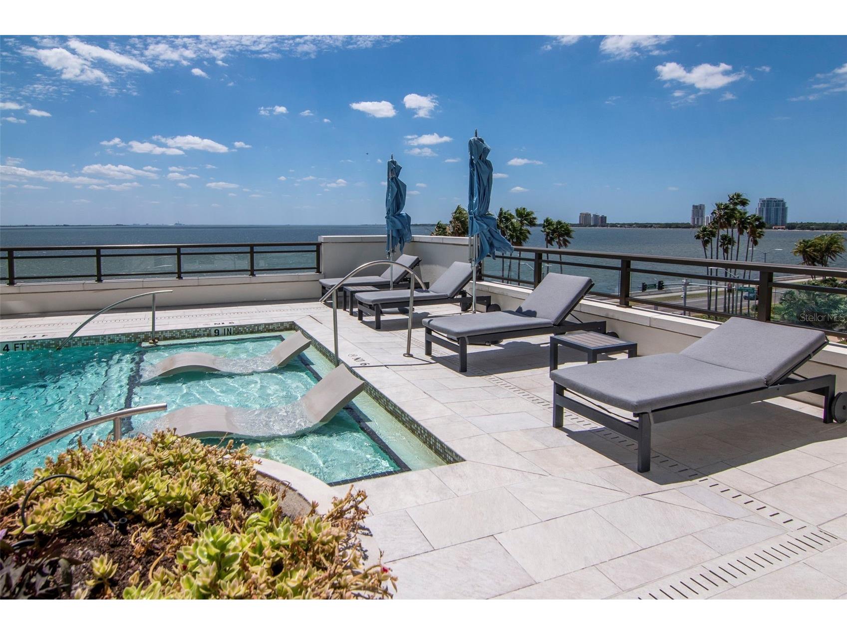 2103 Bayshore Boulevard #602 Tampa FL 33606 TB8504753 image67