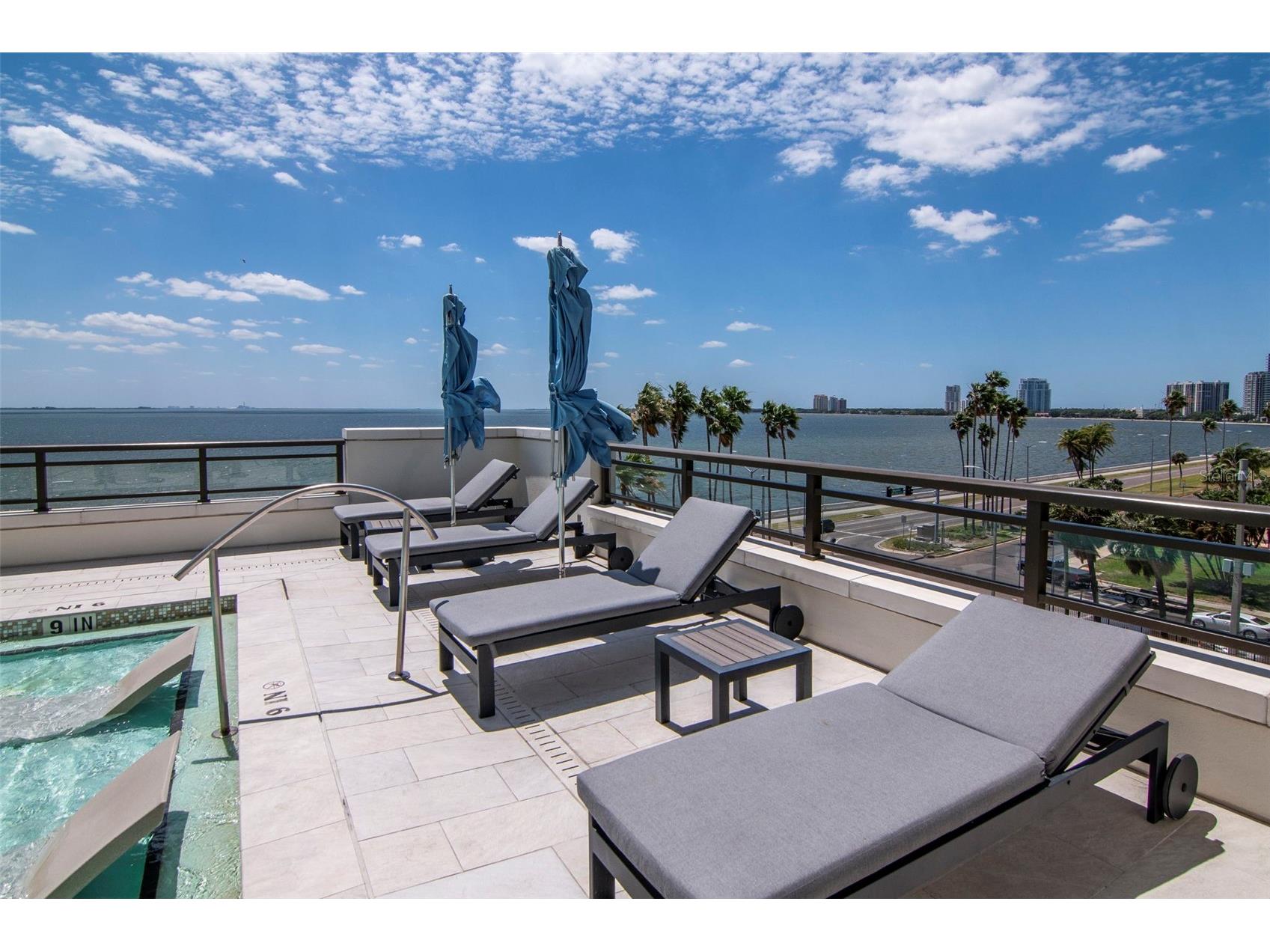 2103 Bayshore Boulevard #602 Tampa FL 33606 TB8504753 image71