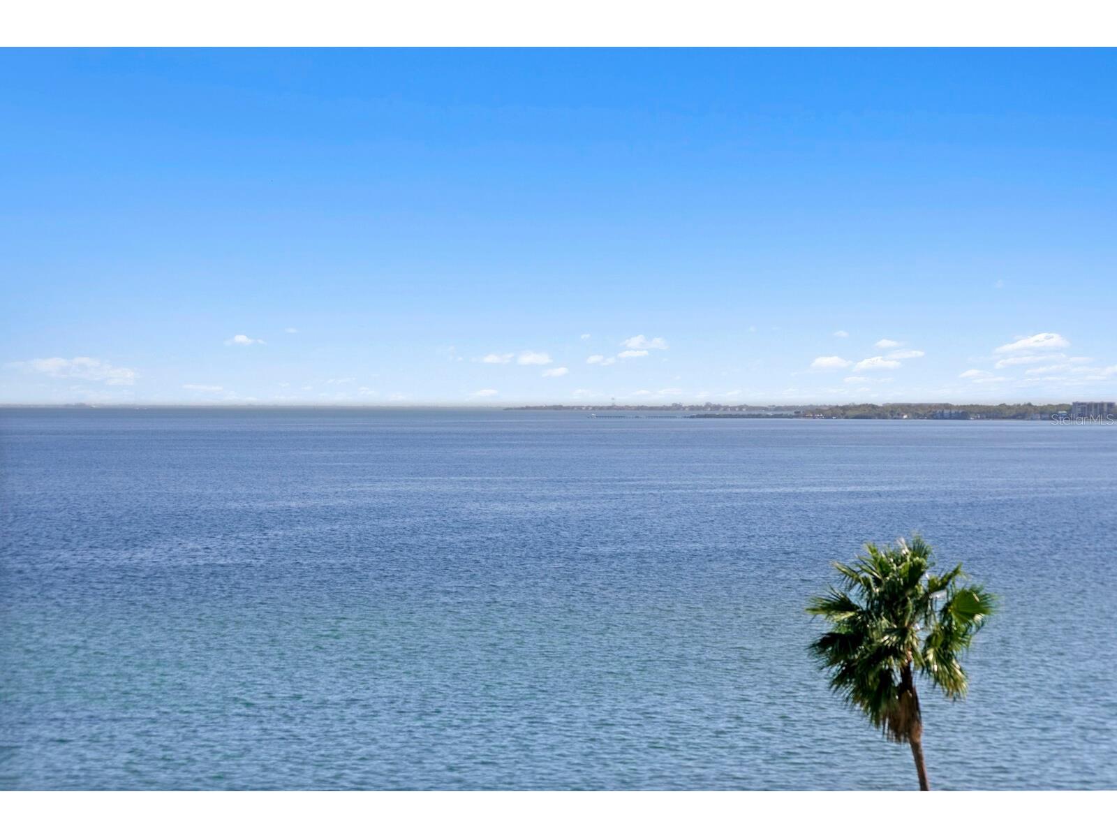 2103 Bayshore Boulevard #605 Tampa FL 33606 - HILLSBOROUGH BAY TB8487937 image31