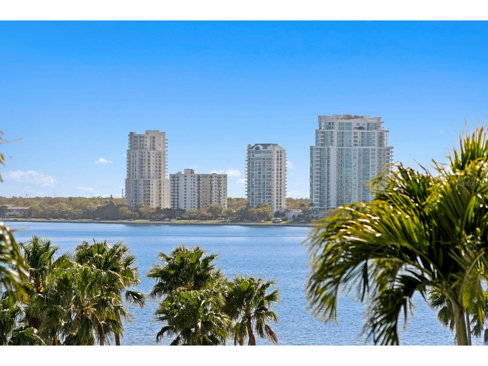 2103 Bayshore Boulevard #605 Tampa FL 33606 - HILLSBOROUGH BAY TB8487937 image43