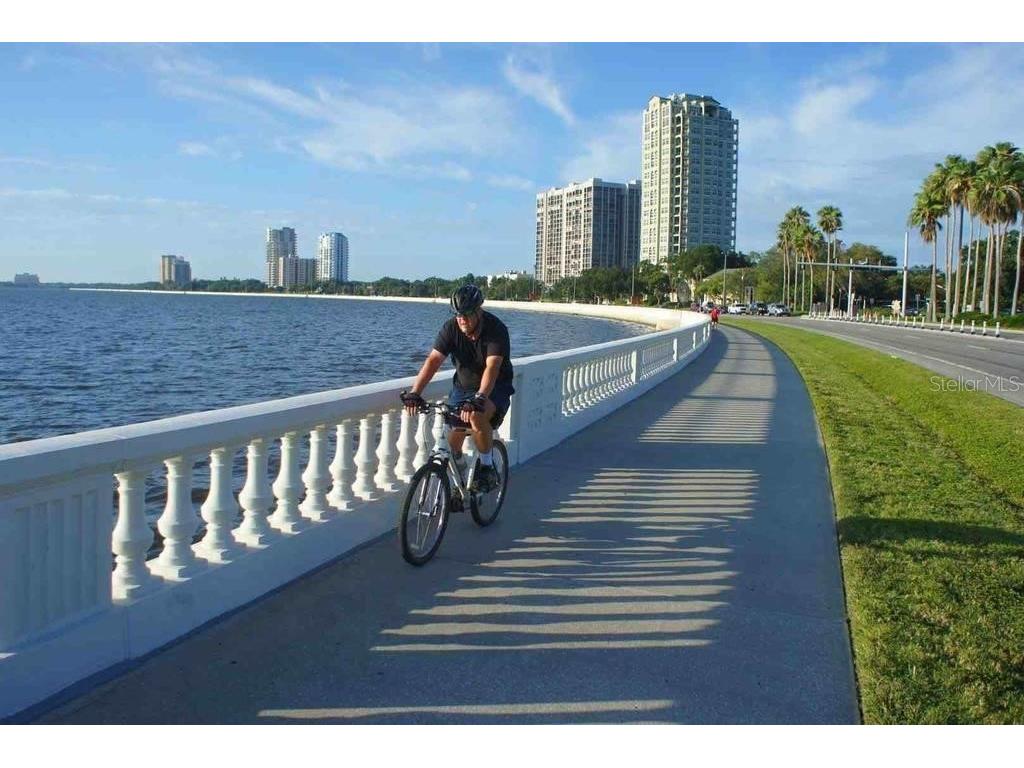2103 Bayshore Boulevard #605 Tampa FL 33606 - HILLSBOROUGH BAY TB8487937 image90
