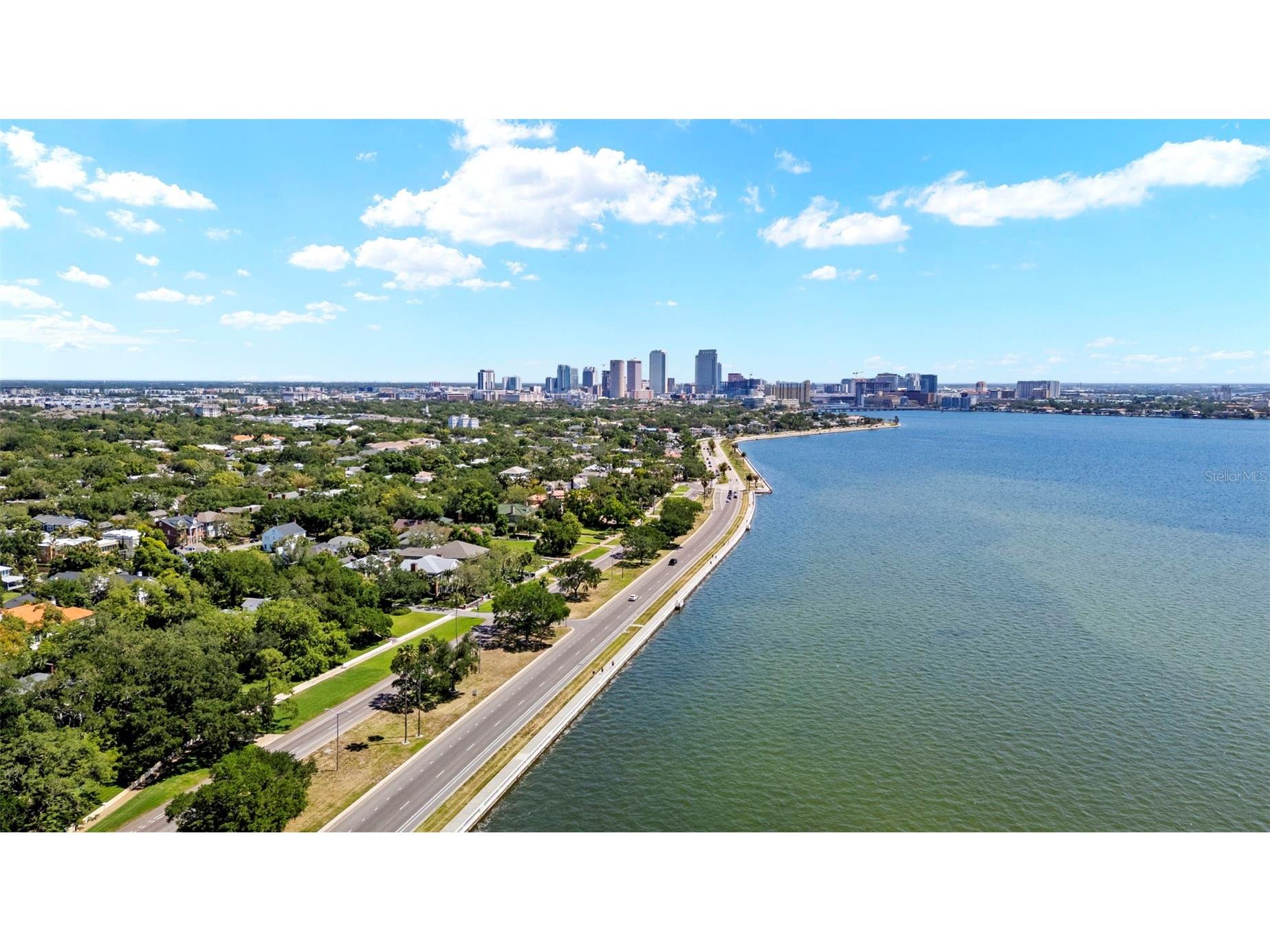 2103 Bayshore Boulevard #703 Tampa FL 33606 TB8501419 image79