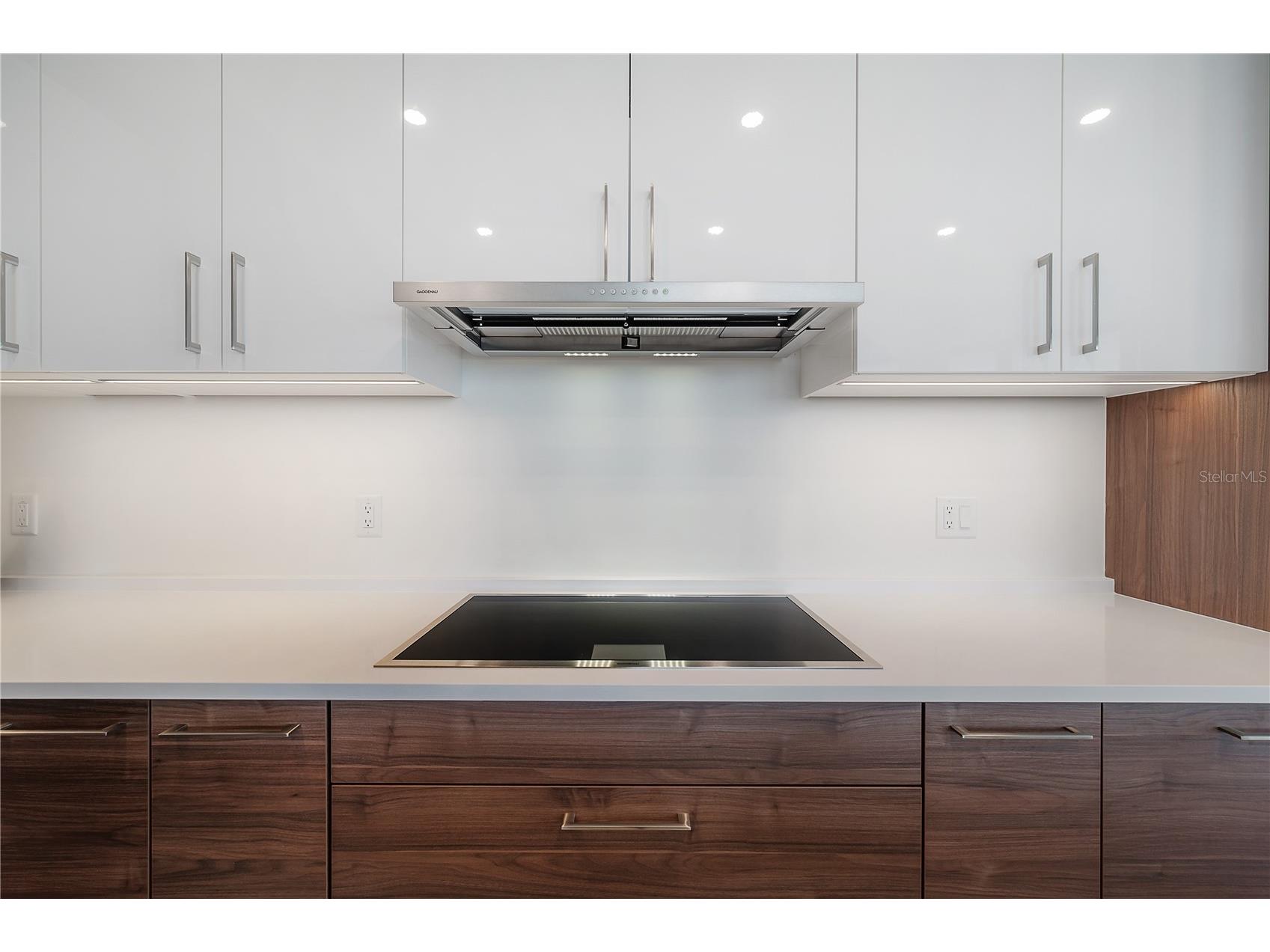 2103 Bayshore Boulevard #802 Tampa FL 33606 TB8476975 image11