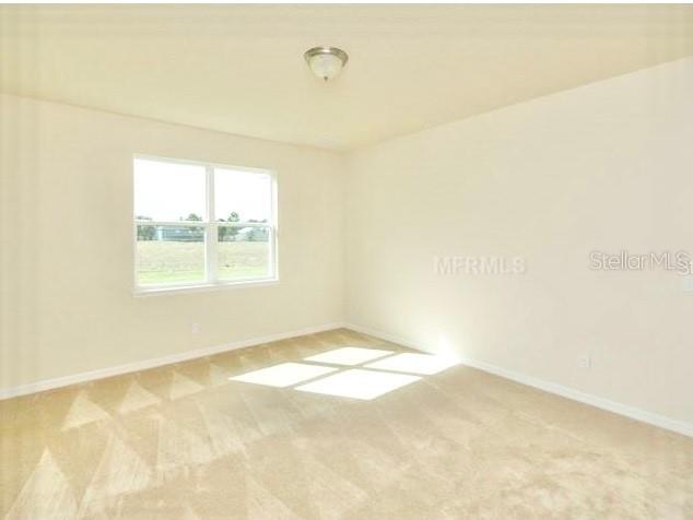 2103 Candlenut Circle Apopka FL 32712 O6418006 image20