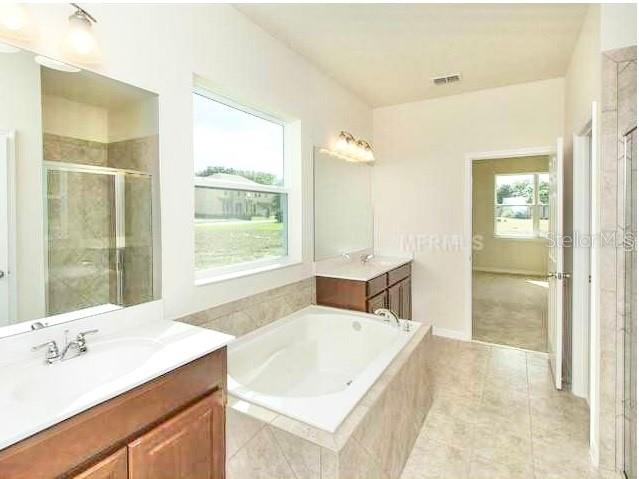2103 Candlenut Circle Apopka FL 32712 O6418006 image24