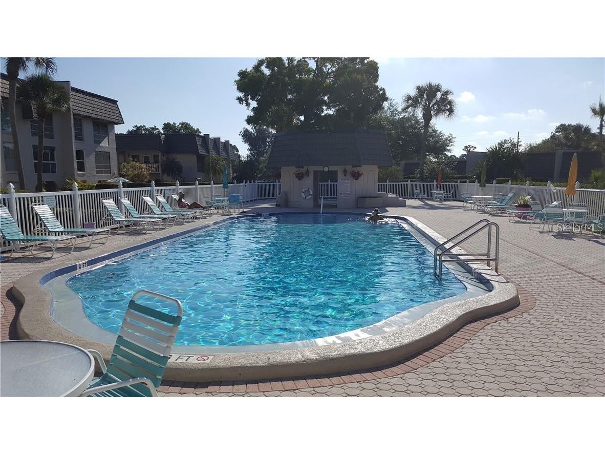 2103 Cordova Grn #2103 Seminole FL 33777 TB8456098 image18