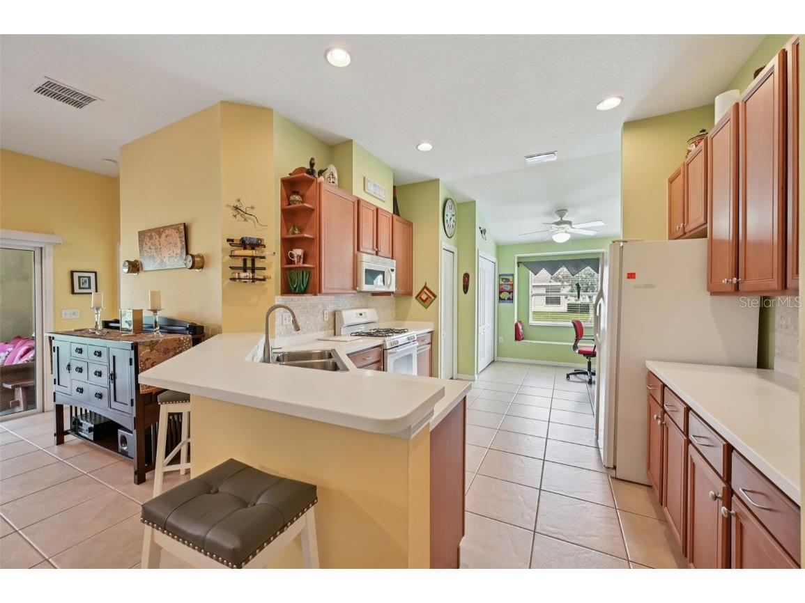 2103 Grantham Greens Drive Sun City Center FL 33573 TB8454772 image11