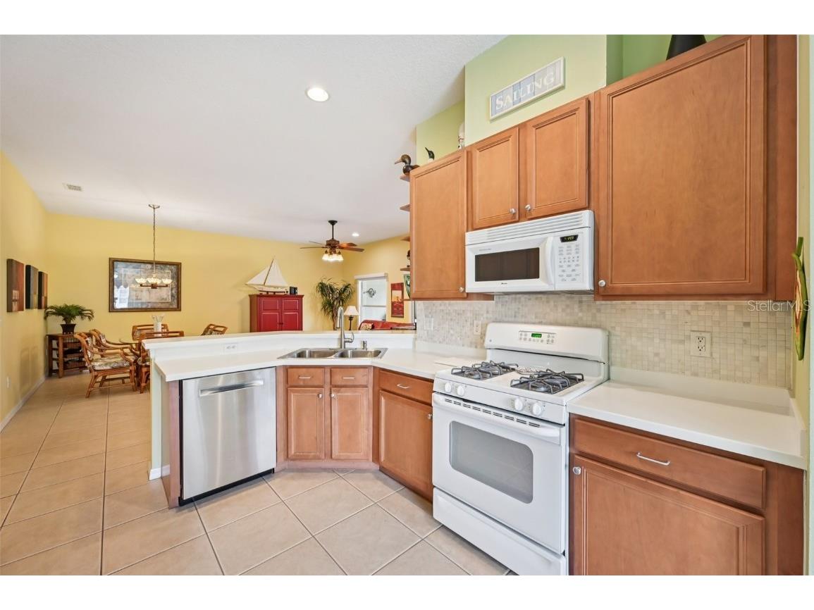 2103 Grantham Greens Drive Sun City Center FL 33573 TB8454772 image12