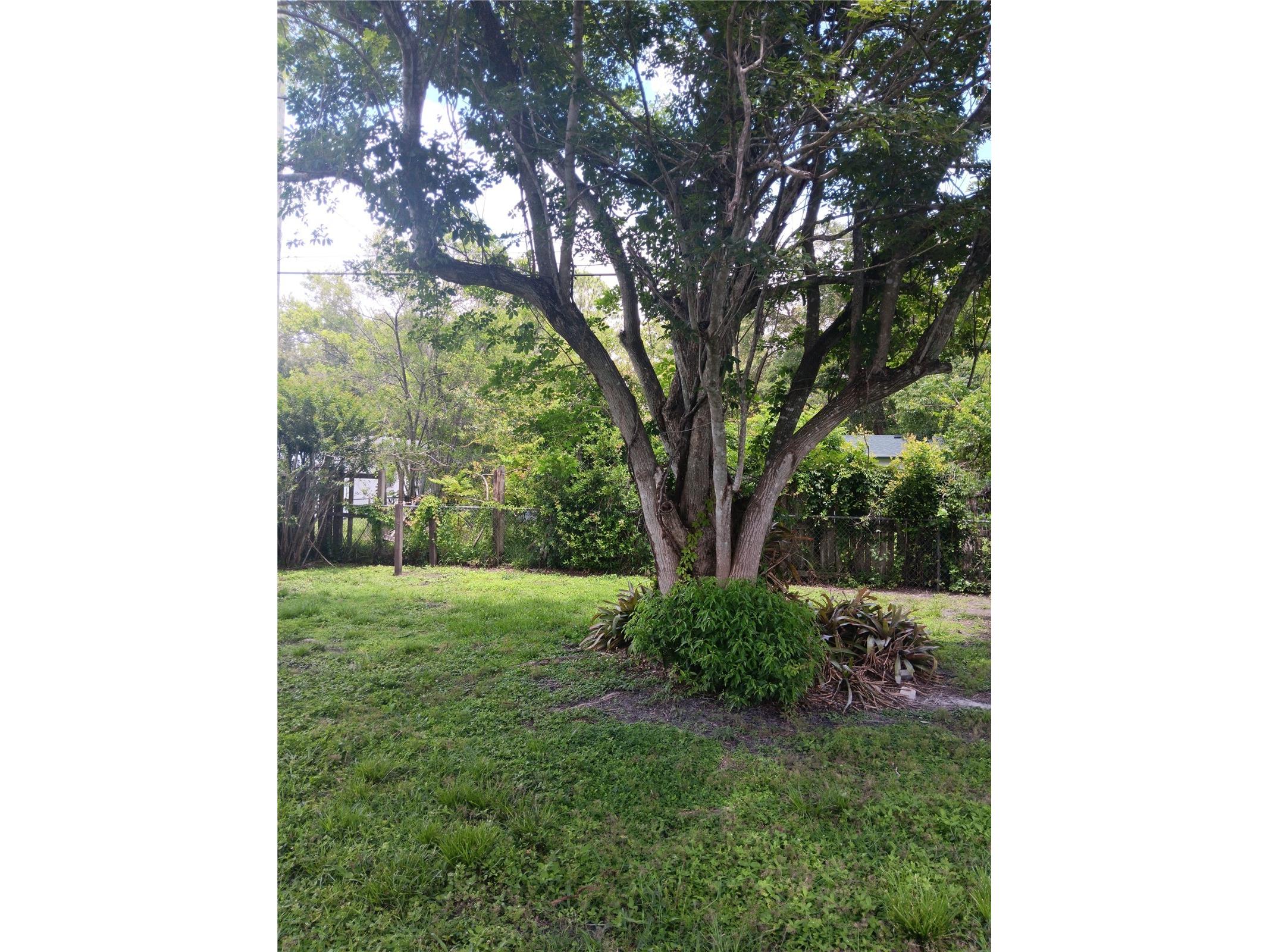 2103 Mantilla Avenue Orlando FL 32811 O6314835 image23