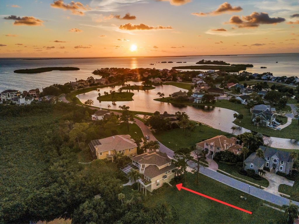 2103 N Pointe Alexis Drive Tarpon Springs FL 34689 - ST. JOSEPH SOUND/ GULF TB8411567 image3