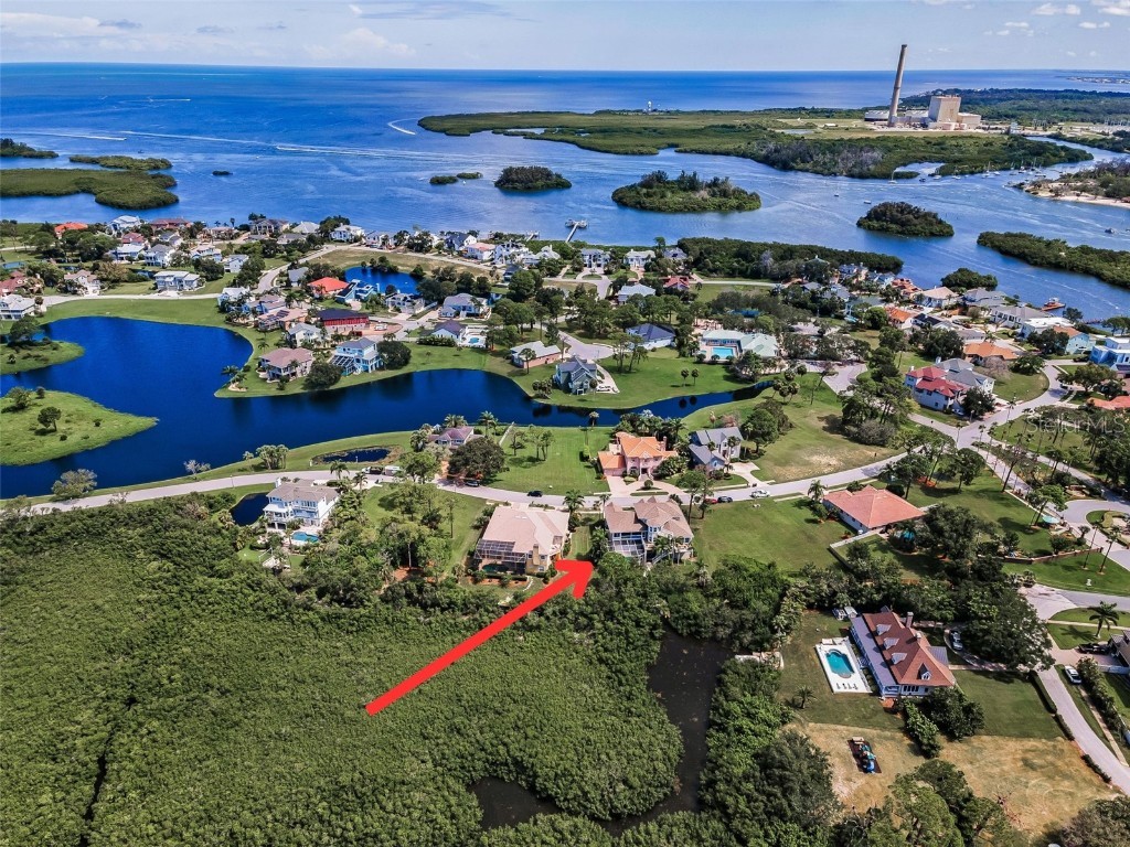 2103 N Pointe Alexis Drive Tarpon Springs FL 34689 - ST. JOSEPH SOUND/ GULF TB8411567 image66