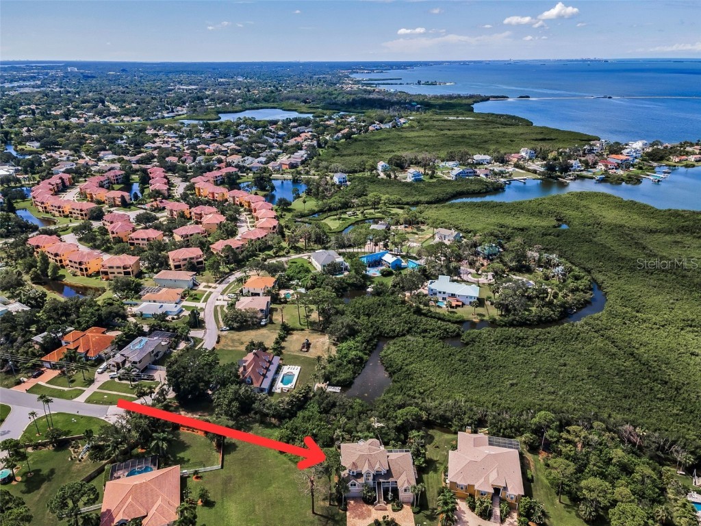 2103 N Pointe Alexis Drive Tarpon Springs FL 34689 - ST. JOSEPH SOUND/ GULF TB8411567 image68