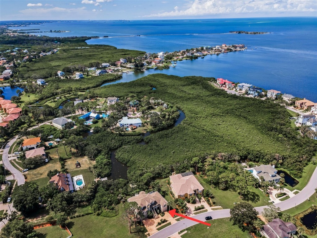 2103 N Pointe Alexis Drive Tarpon Springs FL 34689 - ST. JOSEPH SOUND/ GULF TB8411567 image78