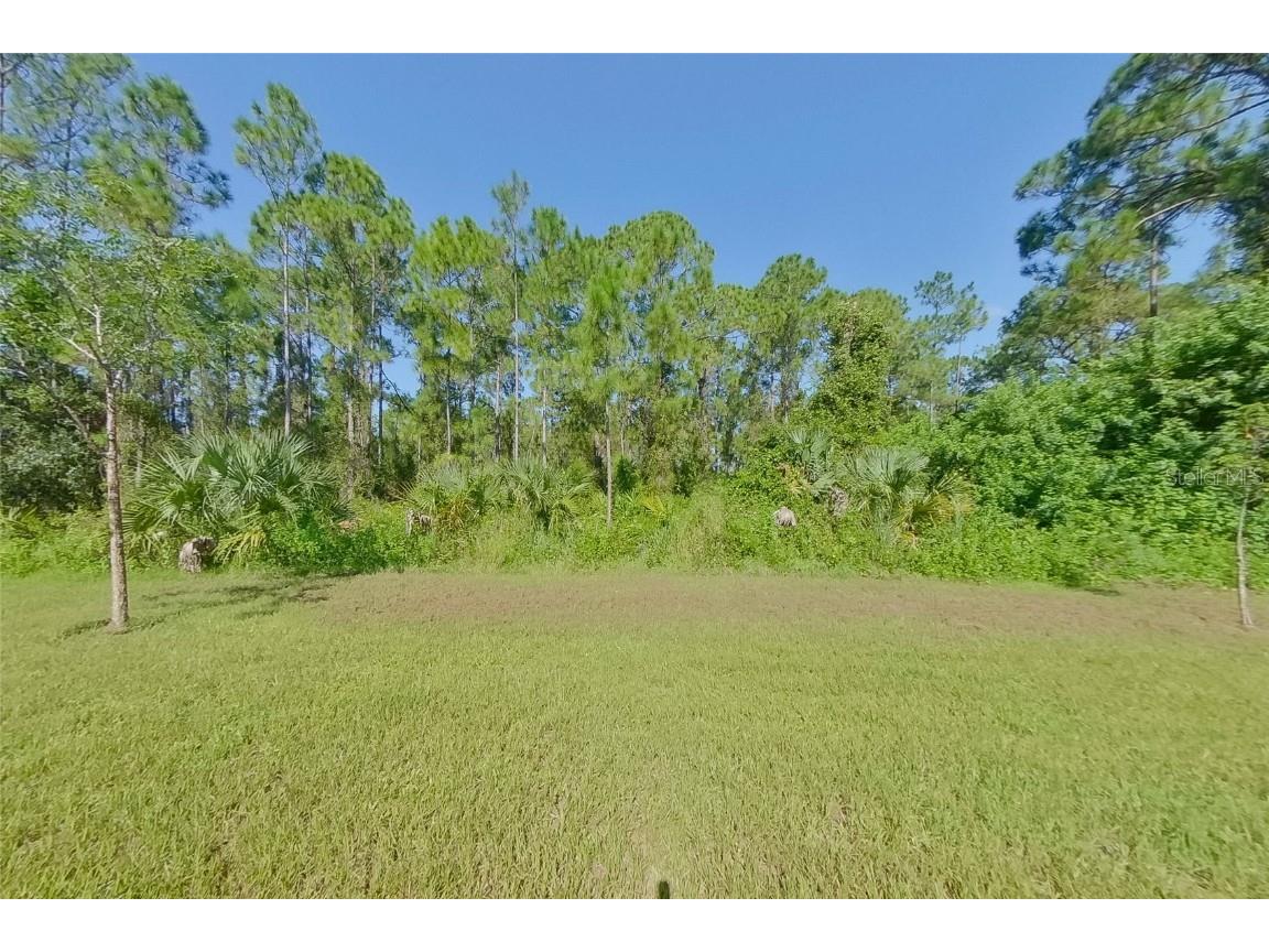 2103 Roosevelt Avenue Alva FL 33920 O6363857 image23