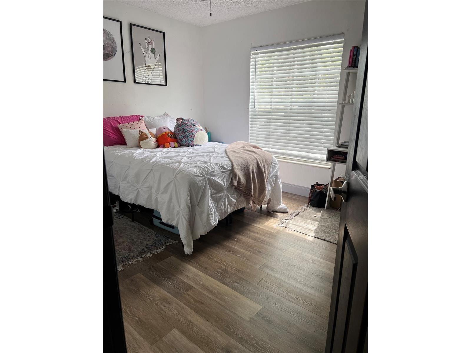 2103 W Cherry Street Tampa FL 33607 TB8475329 image7