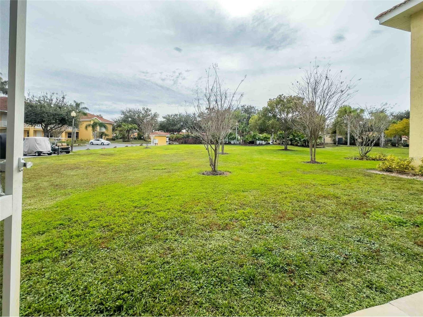 21032 Picasso Court #106 Land O Lakes FL 34637 TB8465150 image23