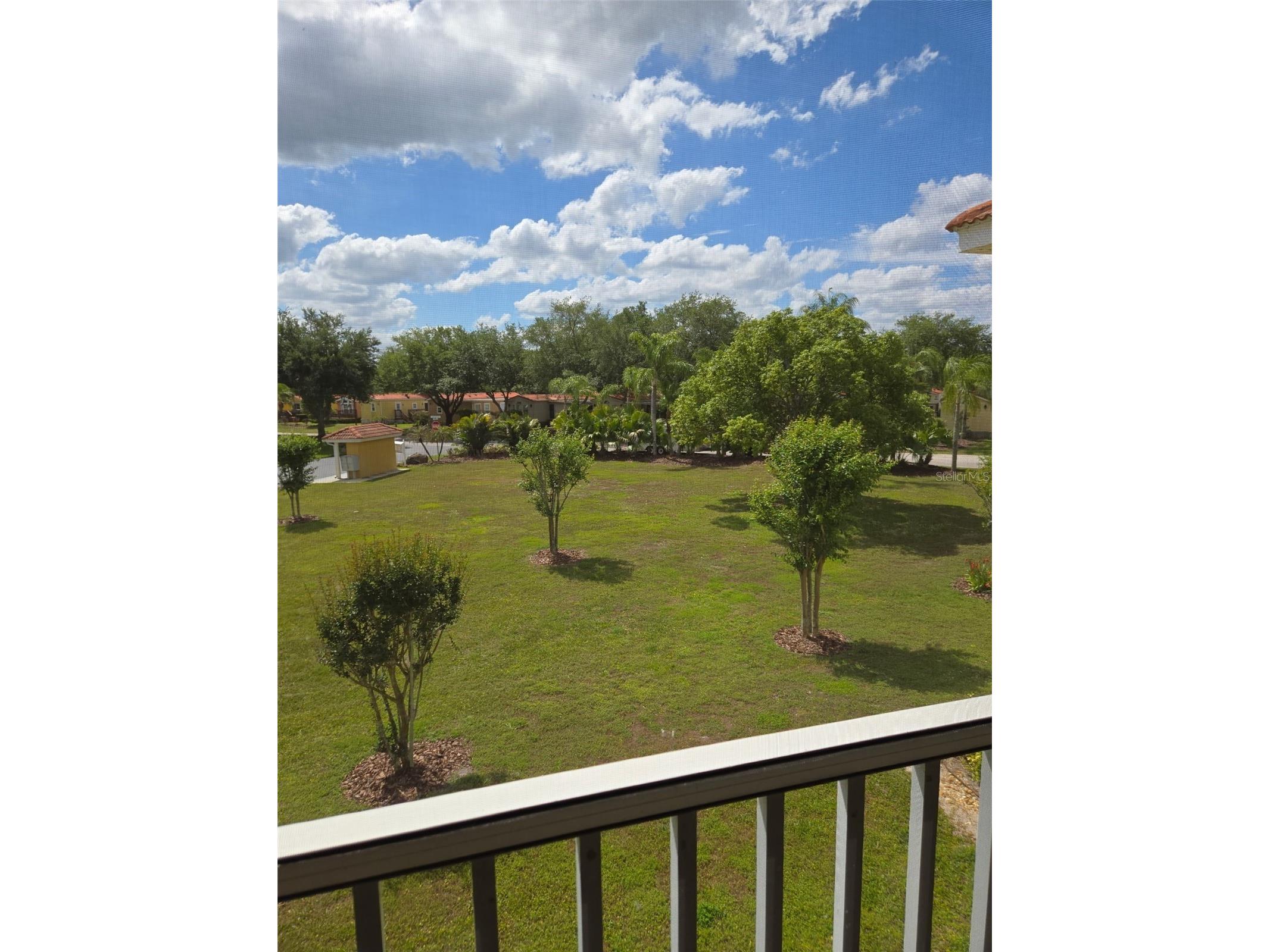 21032 Picasso Court #205 Land O Lakes FL 34637 W7885160 image10