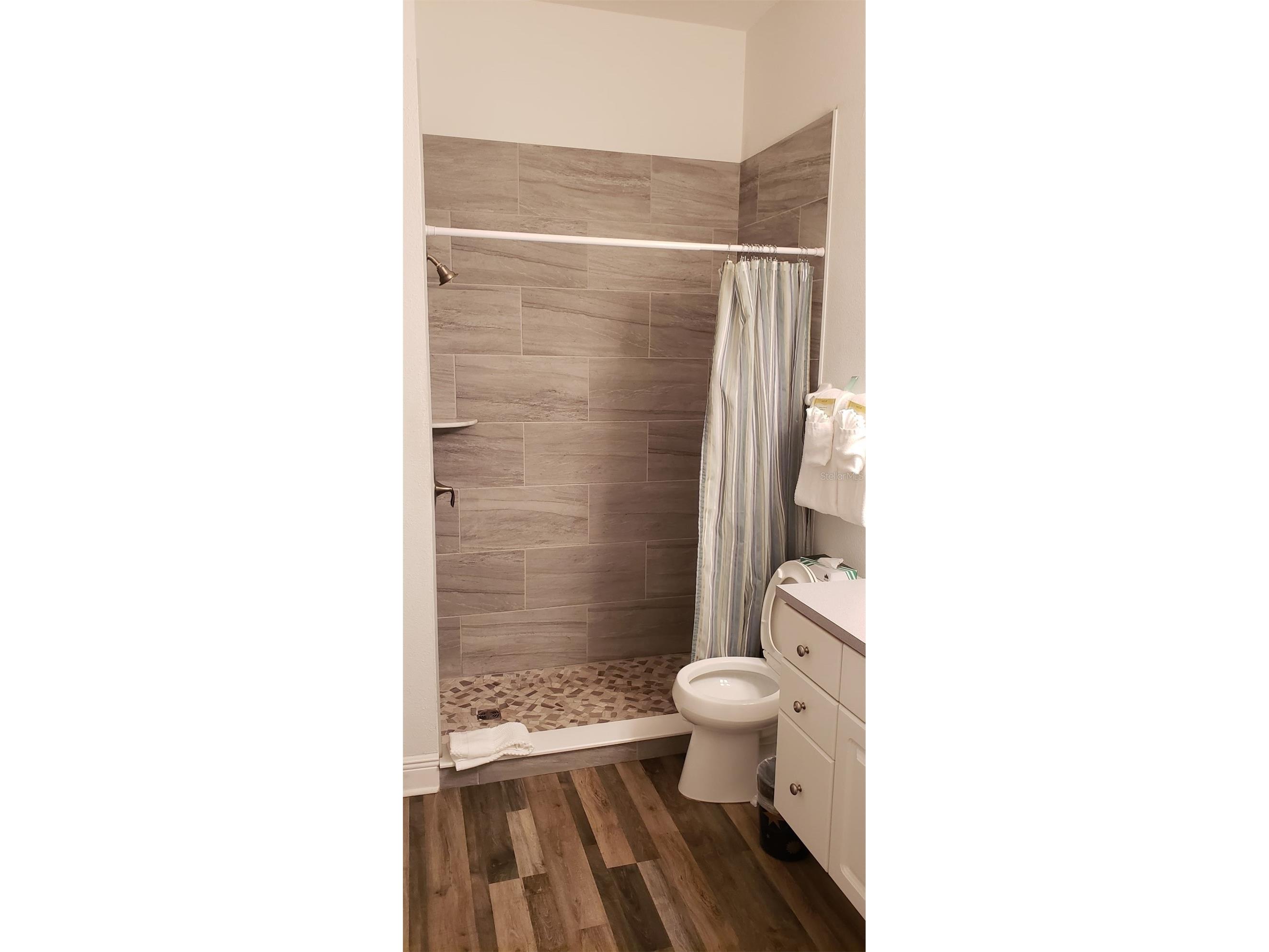 21032 Picasso Court #205 Land O Lakes FL 34637 W7885160 image5