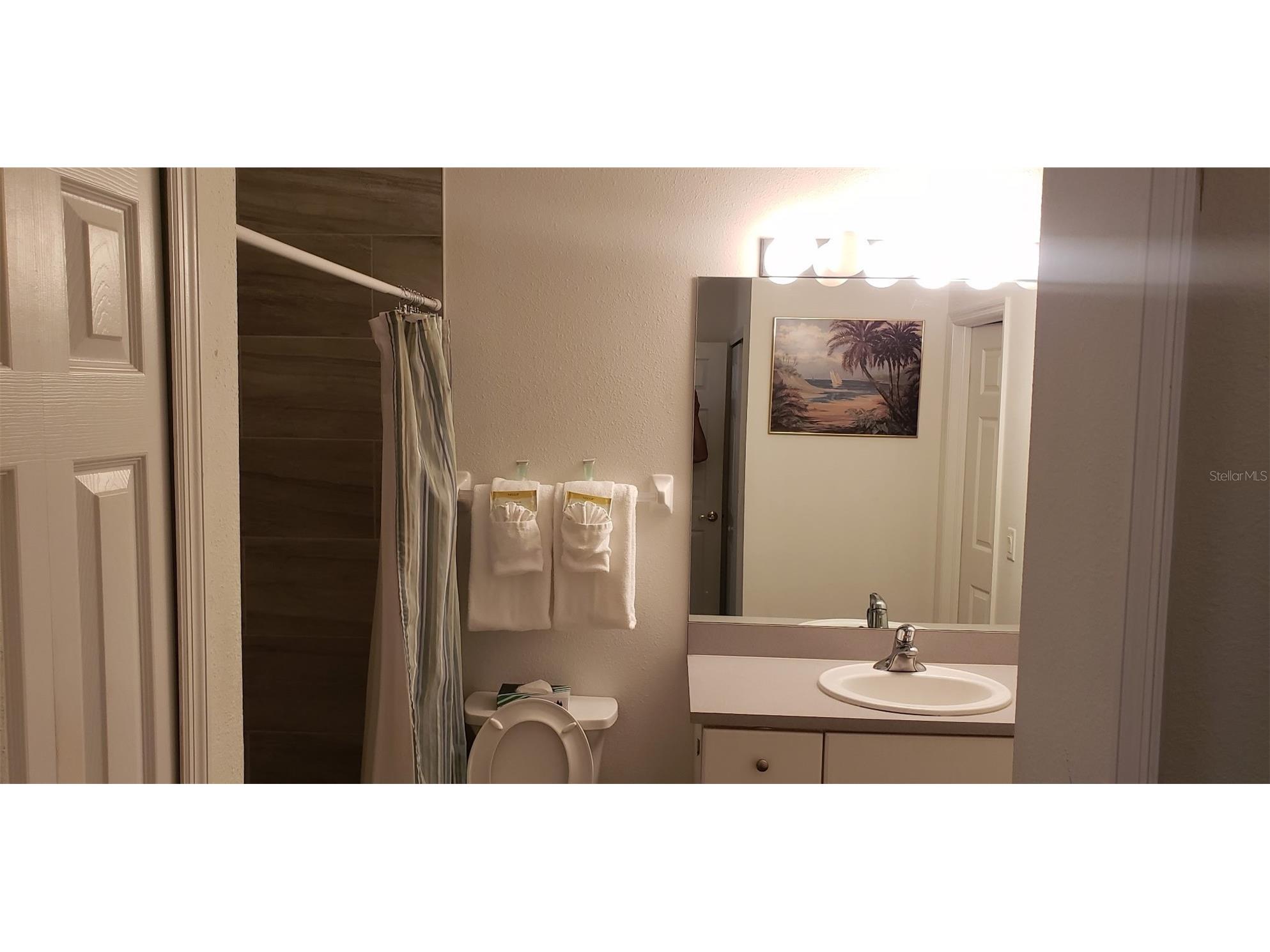 21032 Picasso Court #205 Land O Lakes FL 34637 W7885160 image6