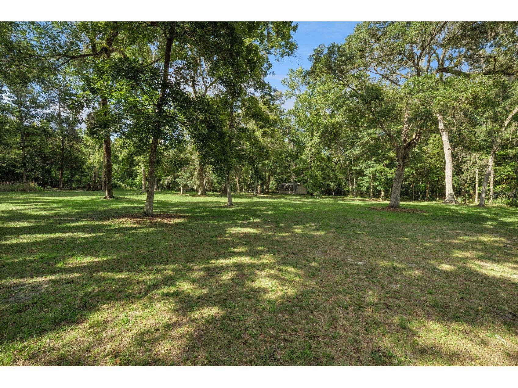 21033 Violet Road Brooksville FL 34601 O6408272 image49