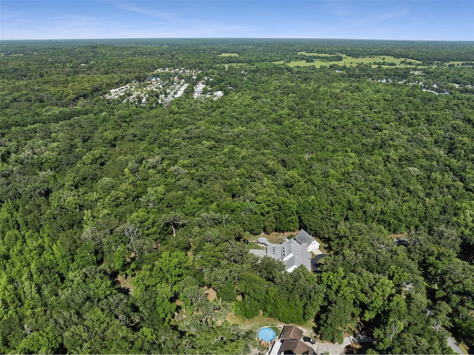 21033 Violet Road Brooksville FL 34601 O6408272 image58