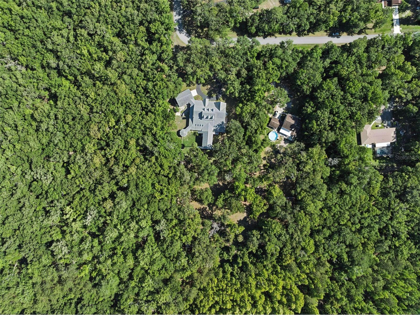 21033 Violet Road Brooksville FL 34601 O6408272 image65