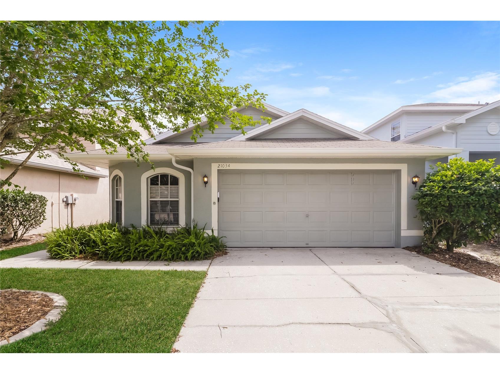 21034 Green Wing Court Land O Lakes FL 34637 C7526256 image1
