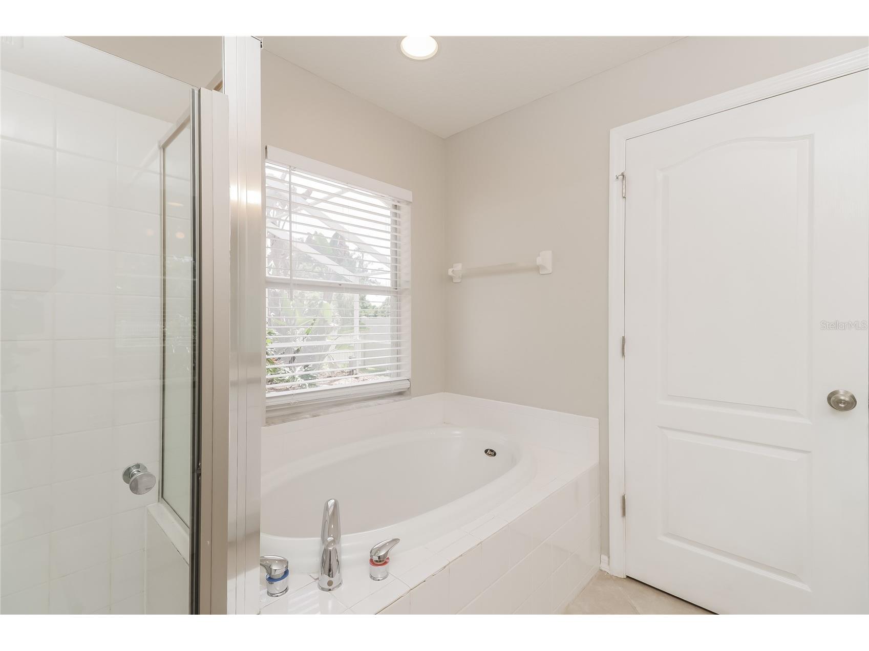 21034 Green Wing Court Land O Lakes FL 34637 C7526256 image13