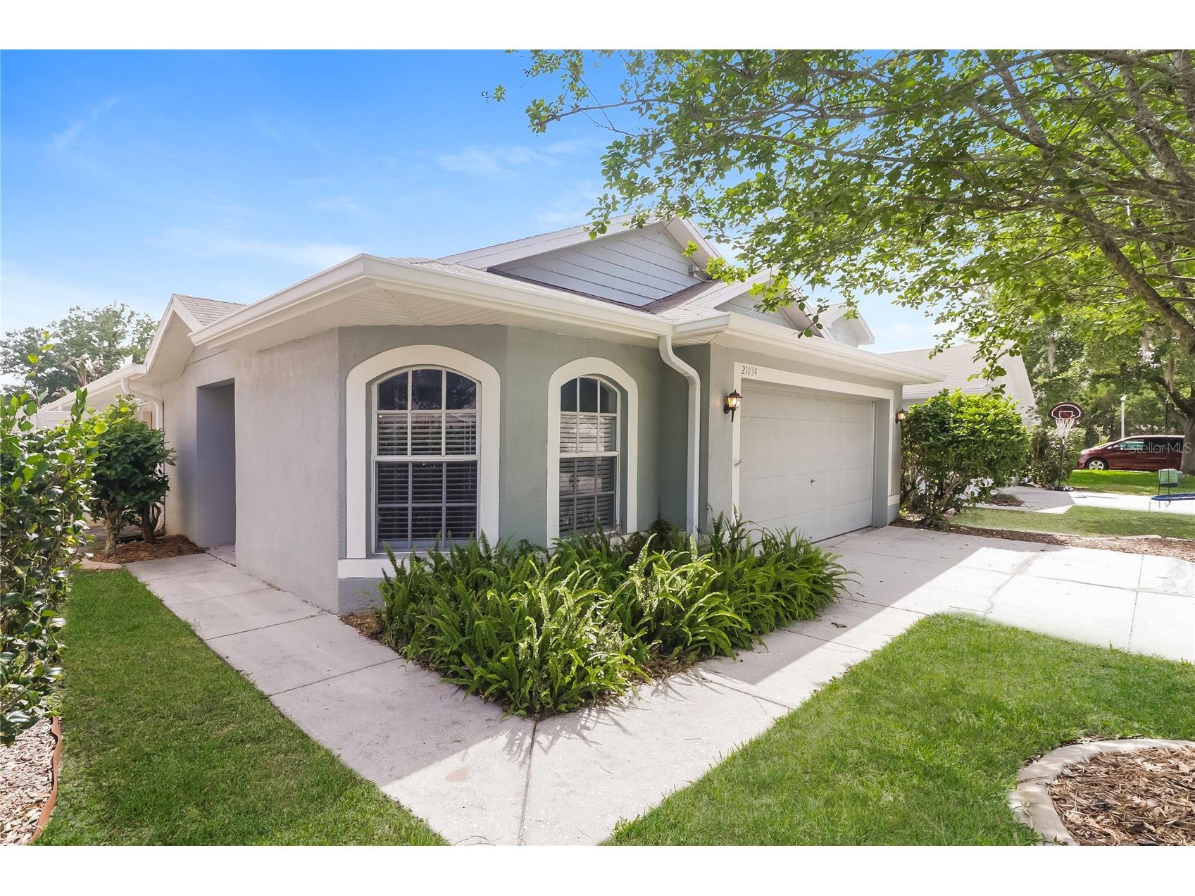 21034 Green Wing Court Land O Lakes FL 34637 C7526256 image2