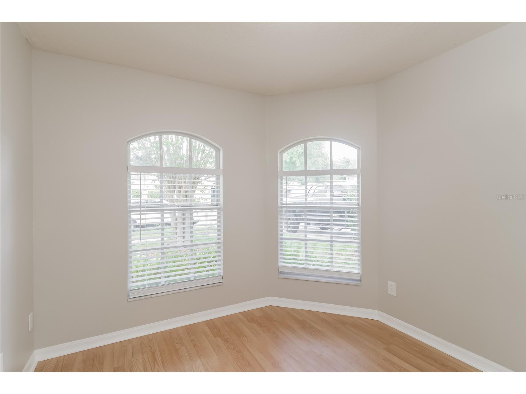 21034 Green Wing Court Land O Lakes FL 34637 C7526256 image3