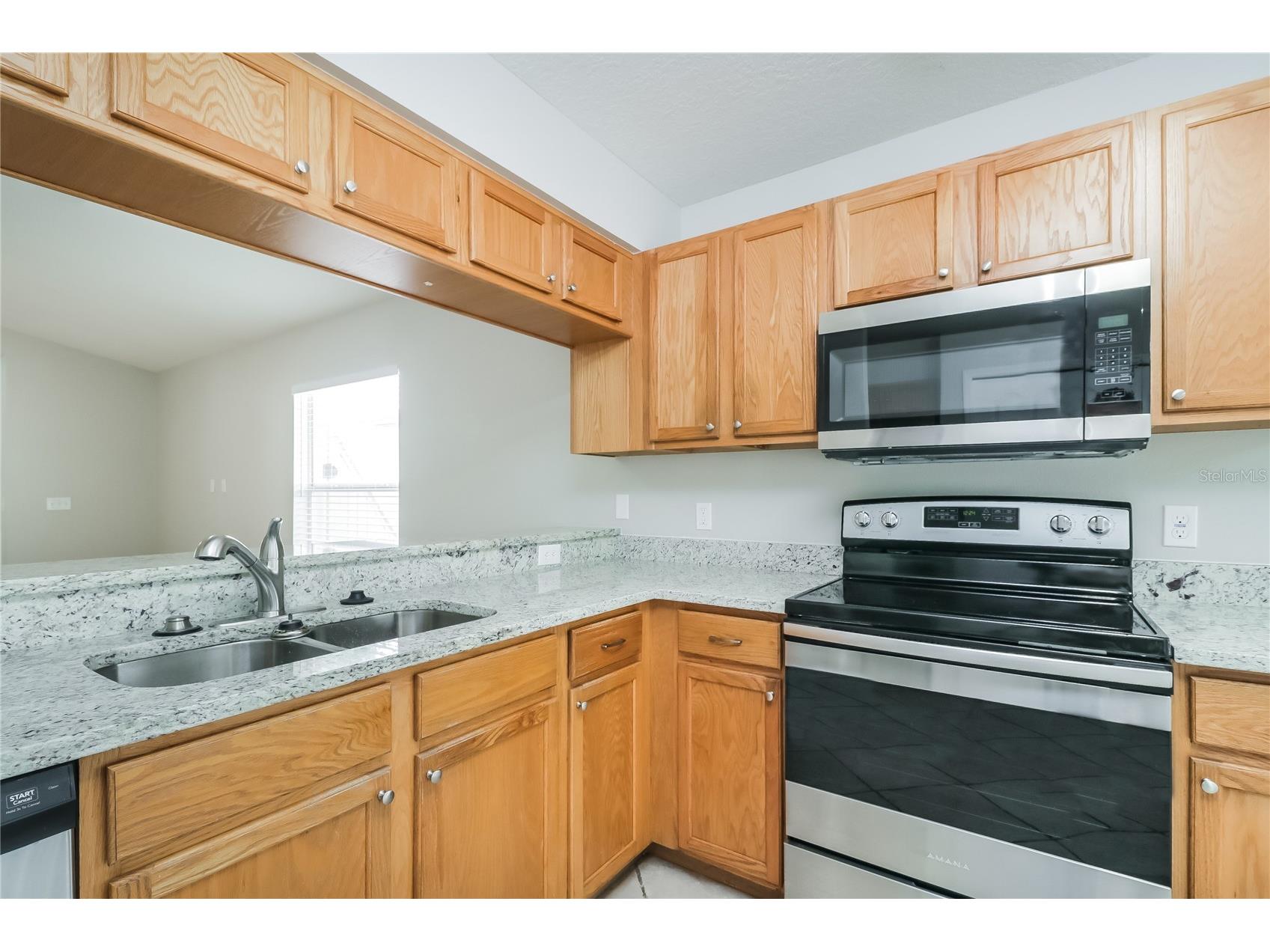 21034 Green Wing Court Land O Lakes FL 34637 C7526256 image7