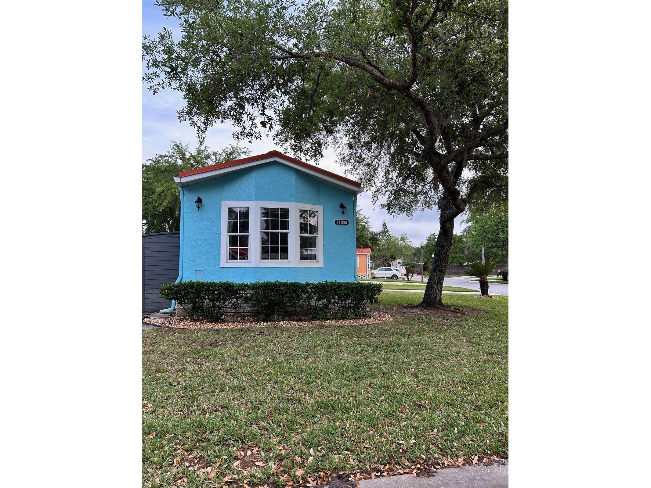 21034 Lirio Drive Land O Lakes FL 34637 TB8381935 image11