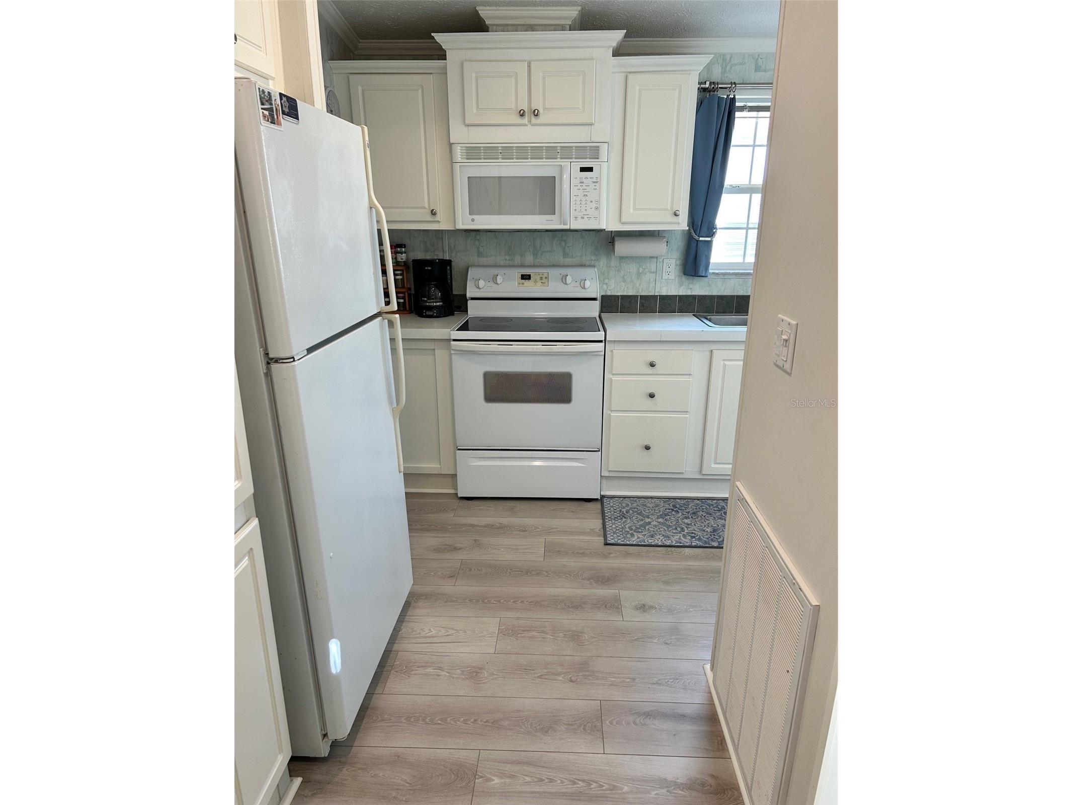 21034 Lirio Drive Land O Lakes FL 34637 TB8381935 image3