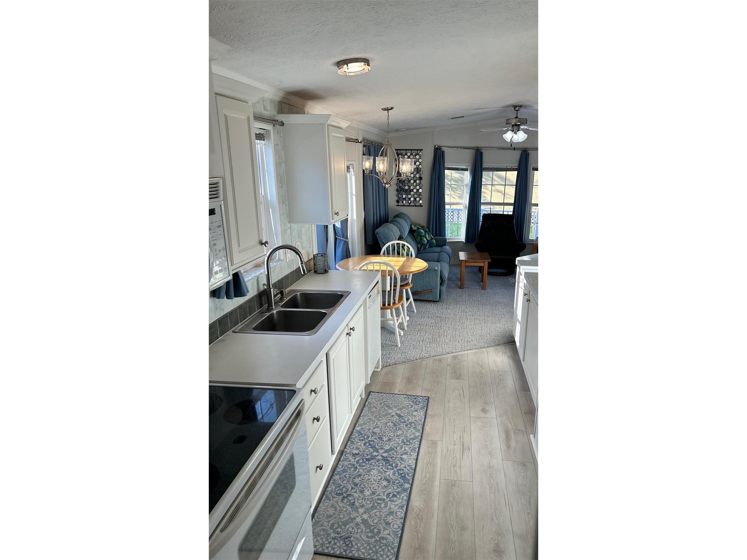 21034 Lirio Drive Land O Lakes FL 34637 TB8381935 image4