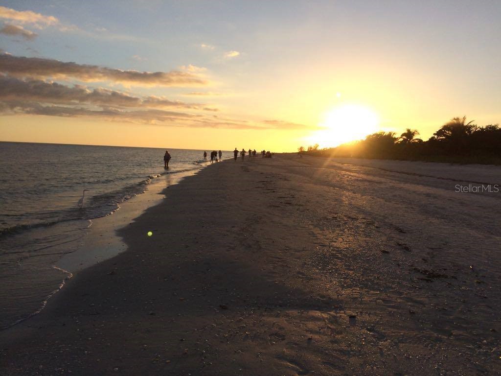 21036 Dearman Avenue Port Charlotte FL 33954 C7476586 image15